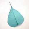 Turquoise Bodhi Tree Skeleton Leaf for sale
