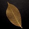 Gold Skeleton Leaf for sale