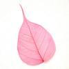 Pink Bodhi Tree Skeleton Leaf for sale