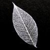 Silver Skeleton Leaf for sale