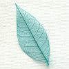Turquoise Skeleton Leaf for sale