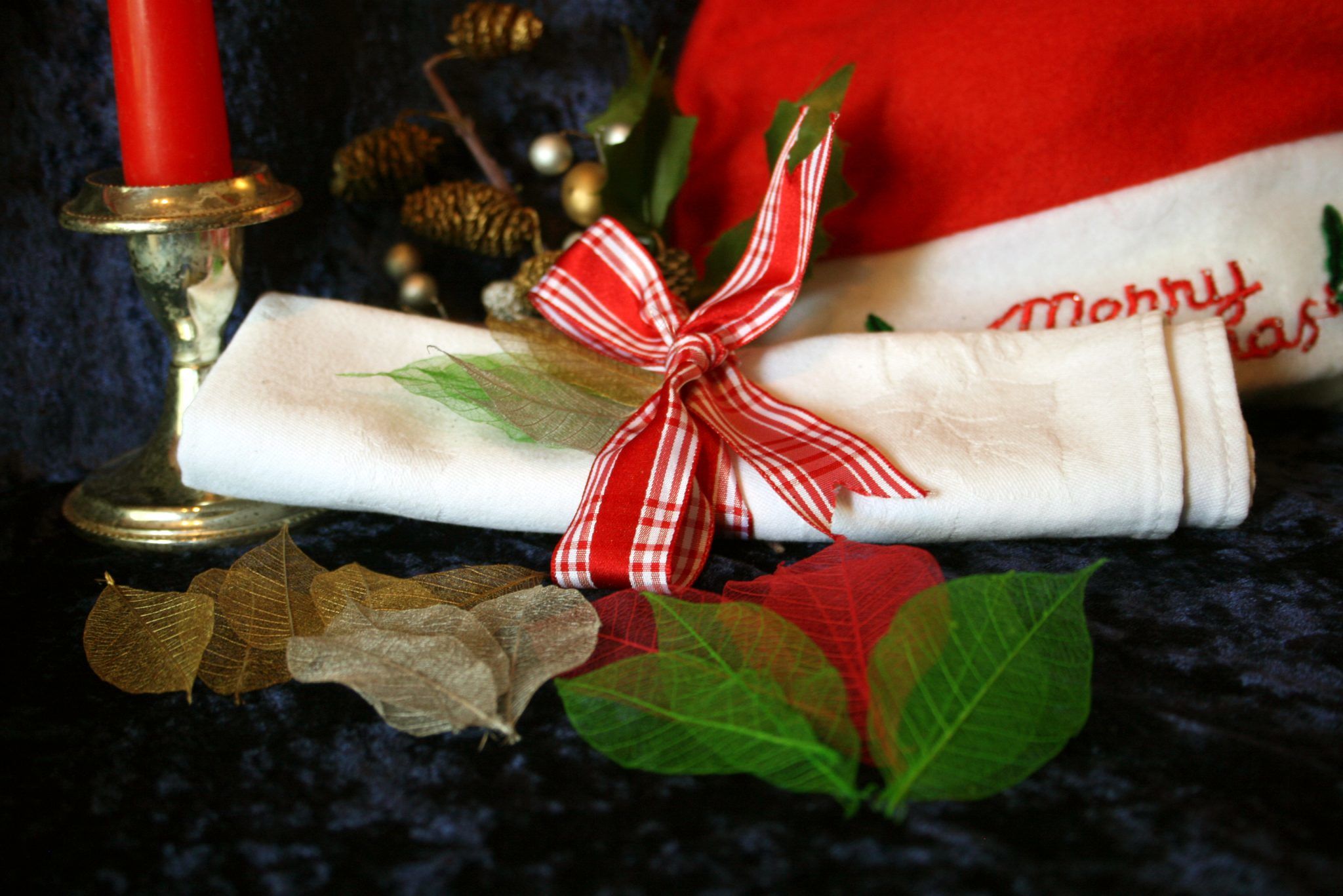 rubber tree leaves · skeleton-leaf