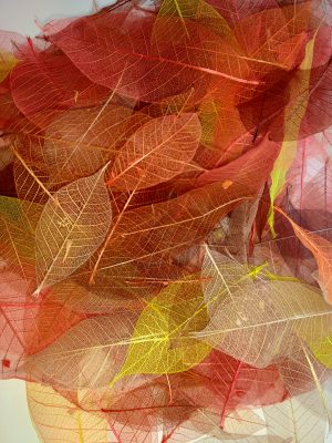 Autumn Leaves selection