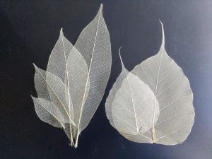 Whole Lotta Natural Leaves