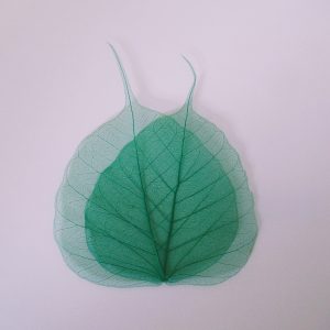 Forest Green Bodhi Tree Leaves