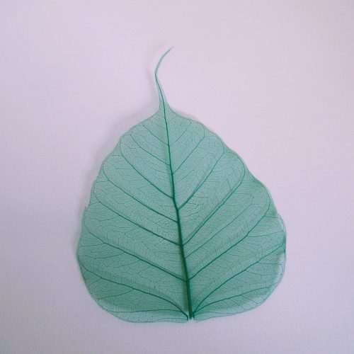 Forest Green Bodhi Tree Leaves - 6 cm Pack of 100