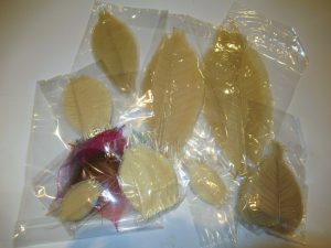 Big Bundle of Natural Leaves