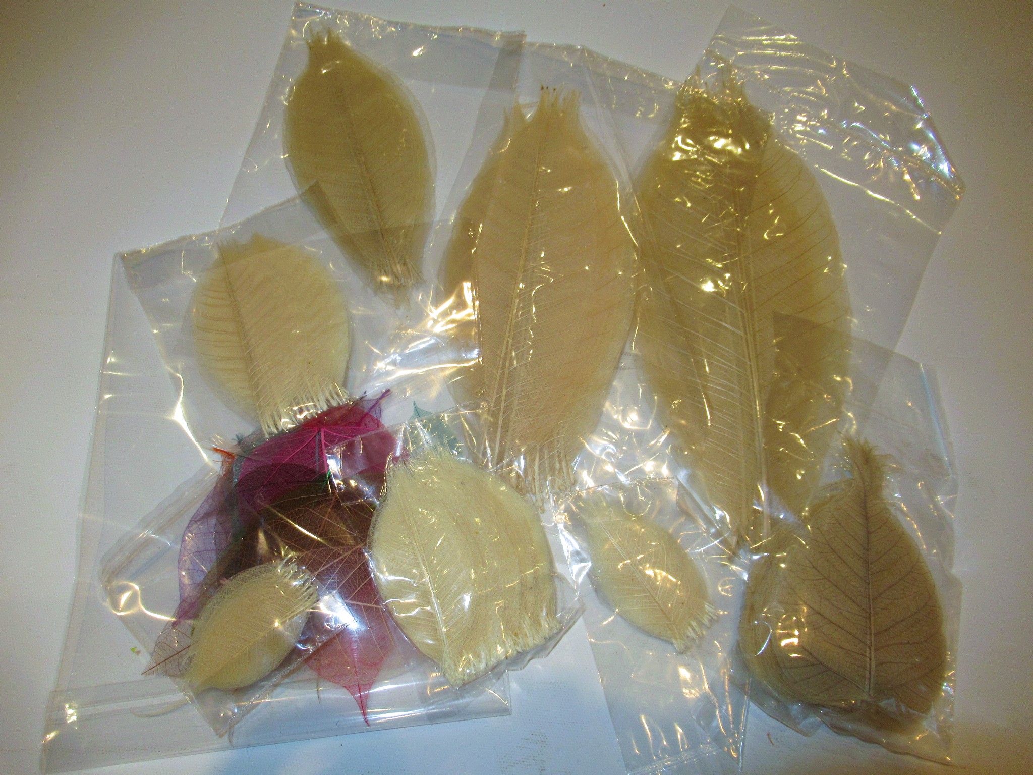 Big Bundle of Natural Leaves