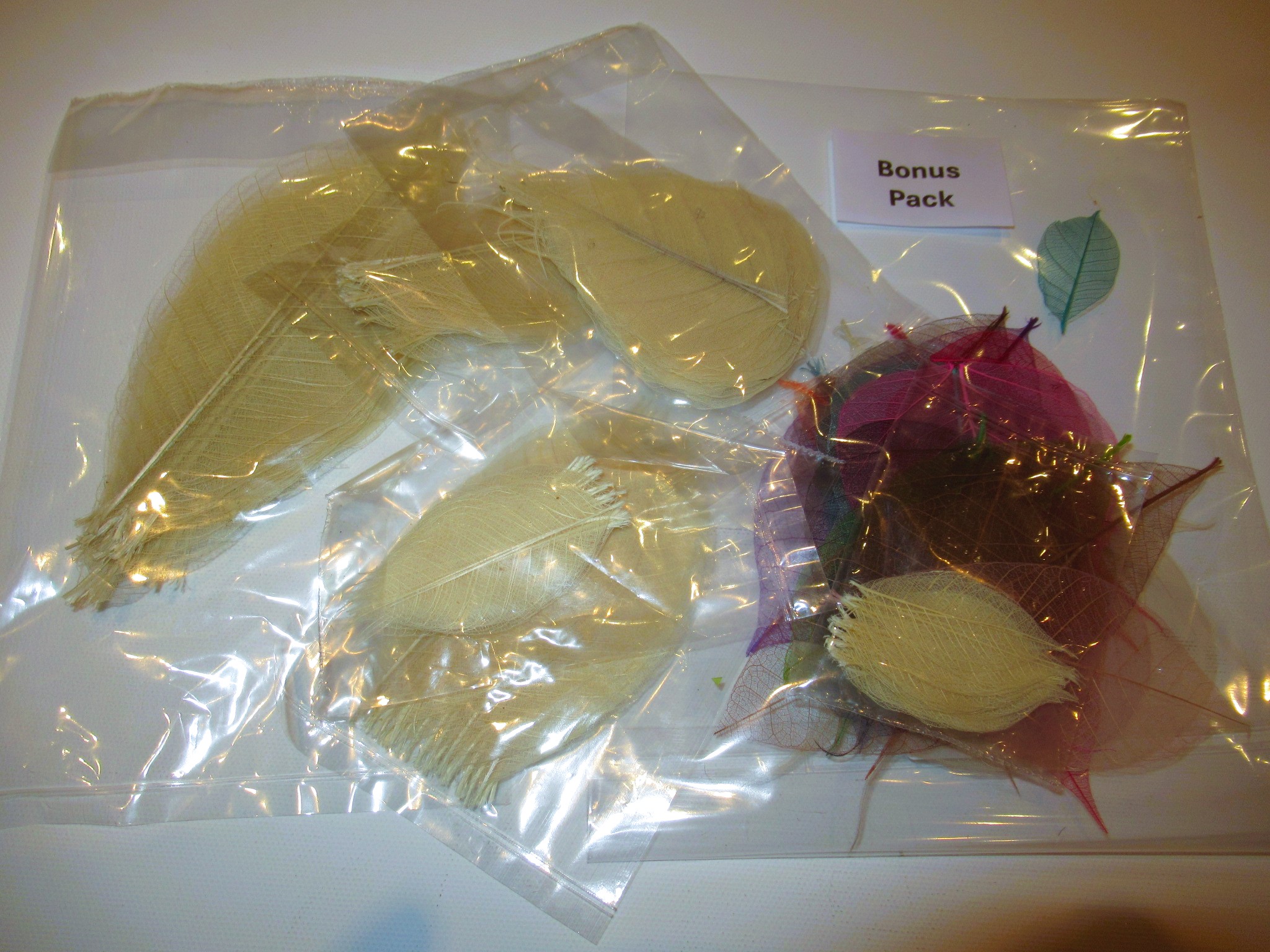 Bundle of Natural Leaves